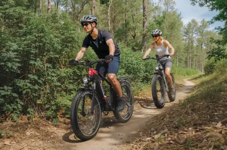 Duotts F26 Lite Silver OR Black 26" eBike