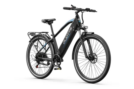 Doutts D29 MAX 29" eBike