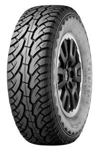 EVERGREEN 31X10,50 R15 ES89 109R TL